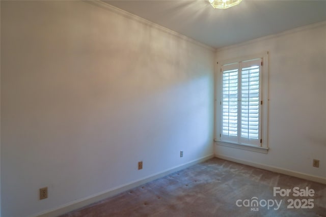 unfurnished room with carpet floors and crown molding