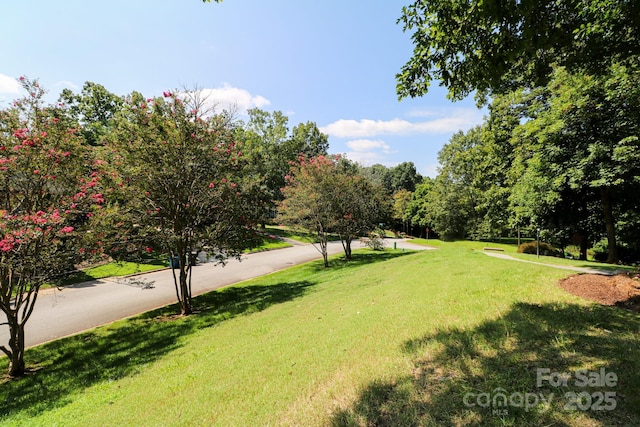 view of home's community with a lawn