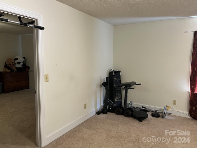 workout room featuring a textured ceiling and light colored carpet