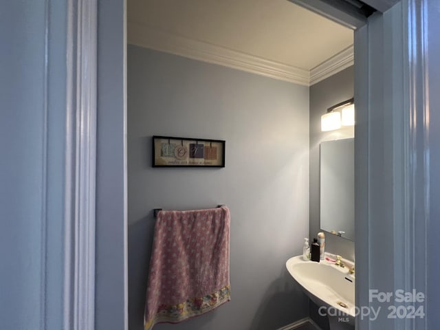 bathroom featuring crown molding and sink