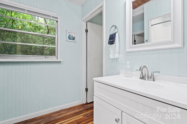 bathroom featuring vanity and wood-type flooring