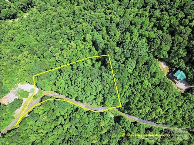 00 Trickle Creek Rd Unit 17, Waynesville NC, 28785 land for sale