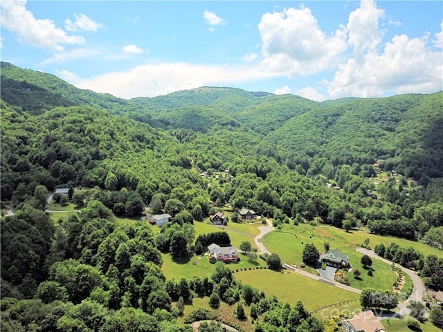 Listing photo 2 for 00 Trickle Creek Rd Unit 17, Waynesville NC 28785