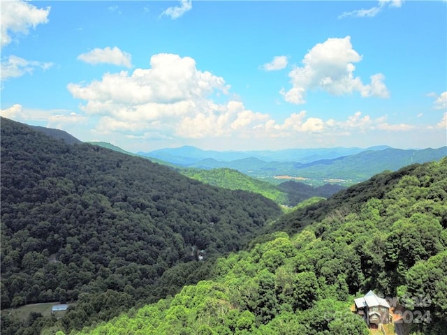 Listing photo 3 for 00 Trickle Creek Rd Unit 17, Waynesville NC 28785