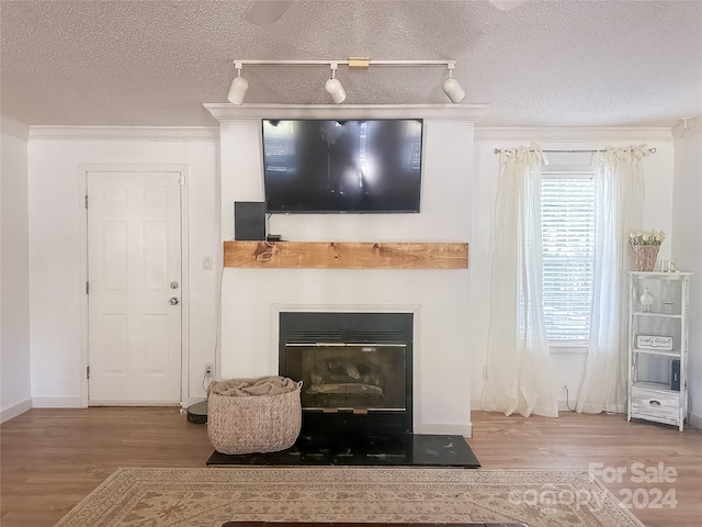 living room with rail lighting, wood-type flooring, and a textured ceiling