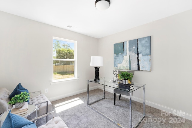 office space with carpet floors and baseboards