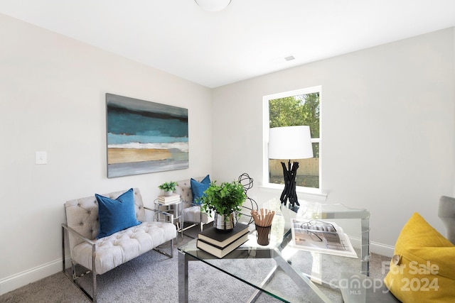 living area featuring baseboards and carpet flooring