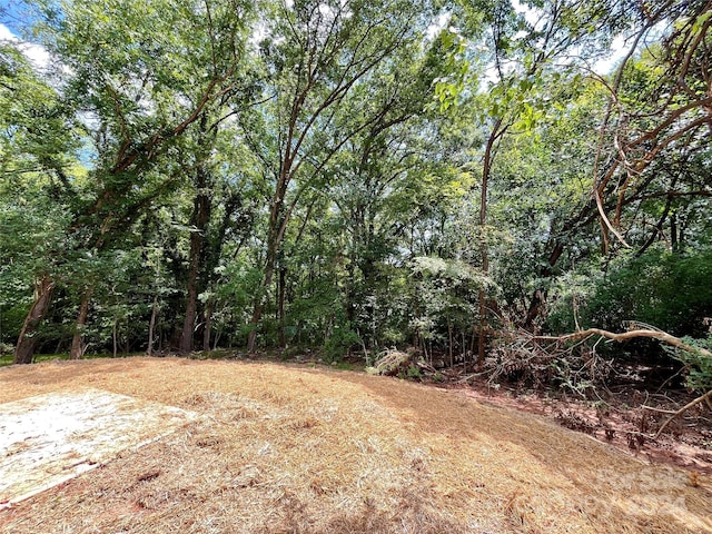 view of yard featuring a view of trees