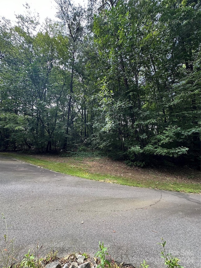 00 Old Haywood Rd, Mills River, NC 28759 - photo 4