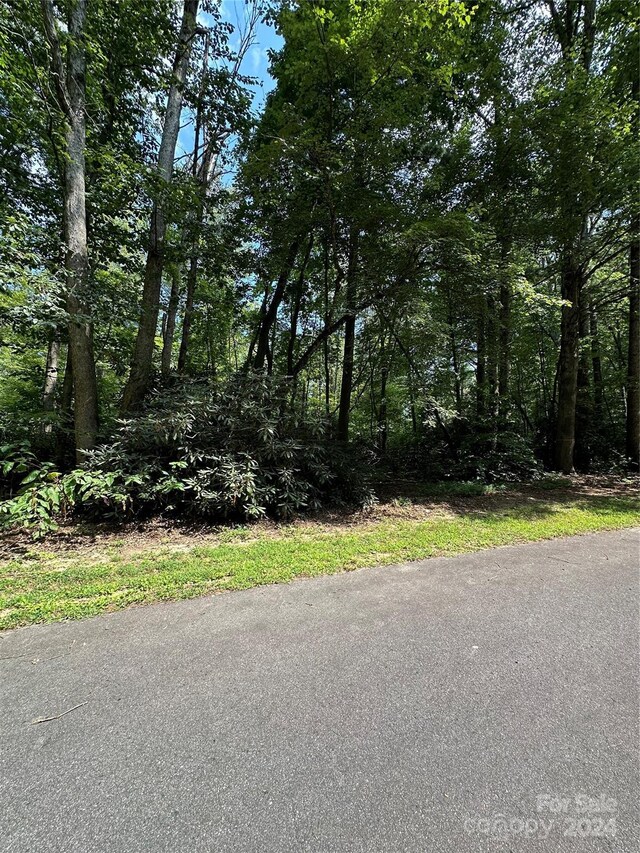 00 Old Haywood Rd, Mills River, NC 28759 - photo 7