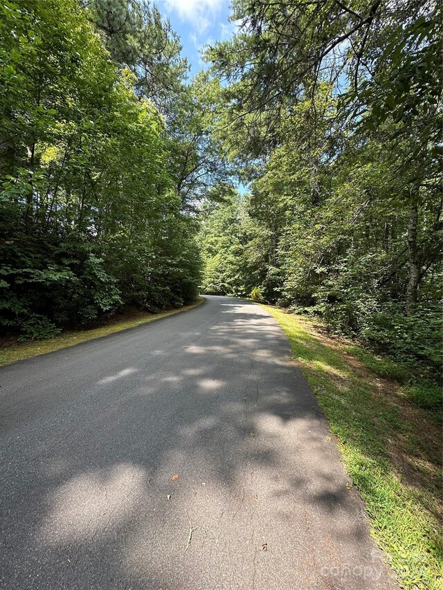 00 Old Haywood Rd, Mills River, NC 28759 - photo 9