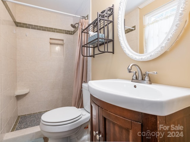 bathroom featuring vanity, curtained shower, and toilet