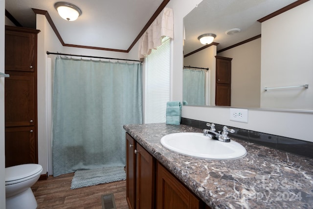 bathroom with hardwood / wood-style flooring, vanity, and toilet