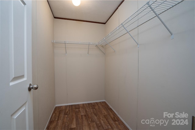 walk in closet with hardwood / wood-style floors