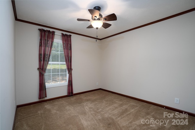 spare room featuring carpet, crown molding, and ceiling fan