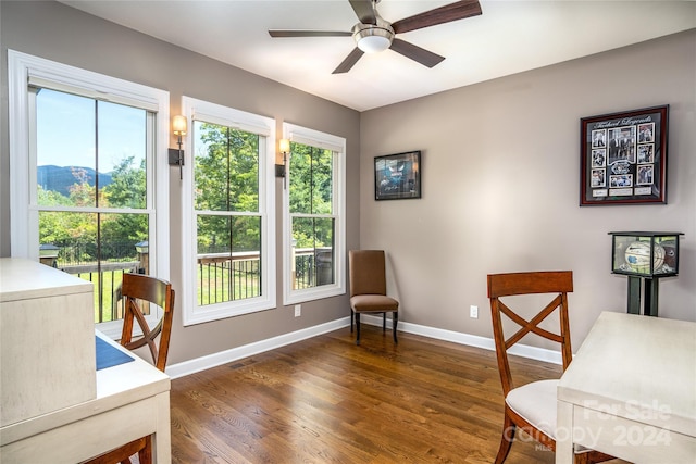 office space with ceiling fan and dark hardwood / wood-style floors