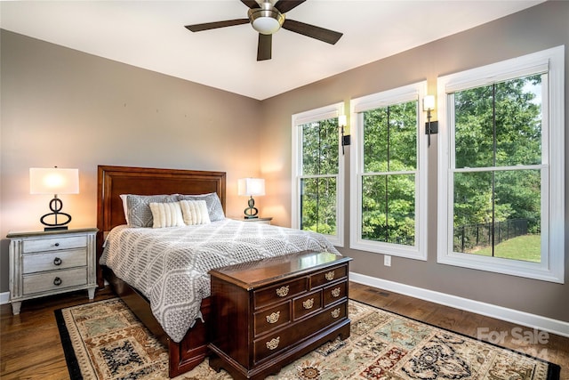 6521 Lake James Rd, Marion, NC 28752 - bedroom with baseboards, multiple windows, and dark wood-style flooring