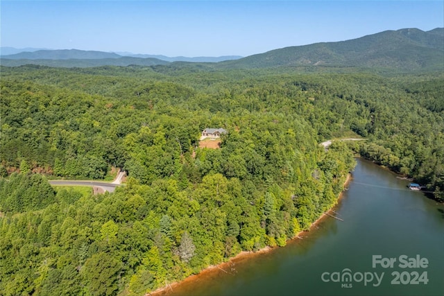 6521 Lake James Rd, Marion, NC 28752 - drone / aerial view of a forest and a water and mountain view
