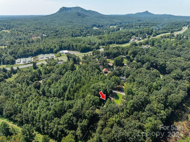 drone / aerial view featuring a mountain view