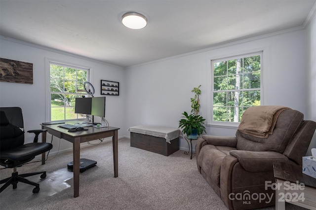 carpeted office space with crown molding and a healthy amount of sunlight