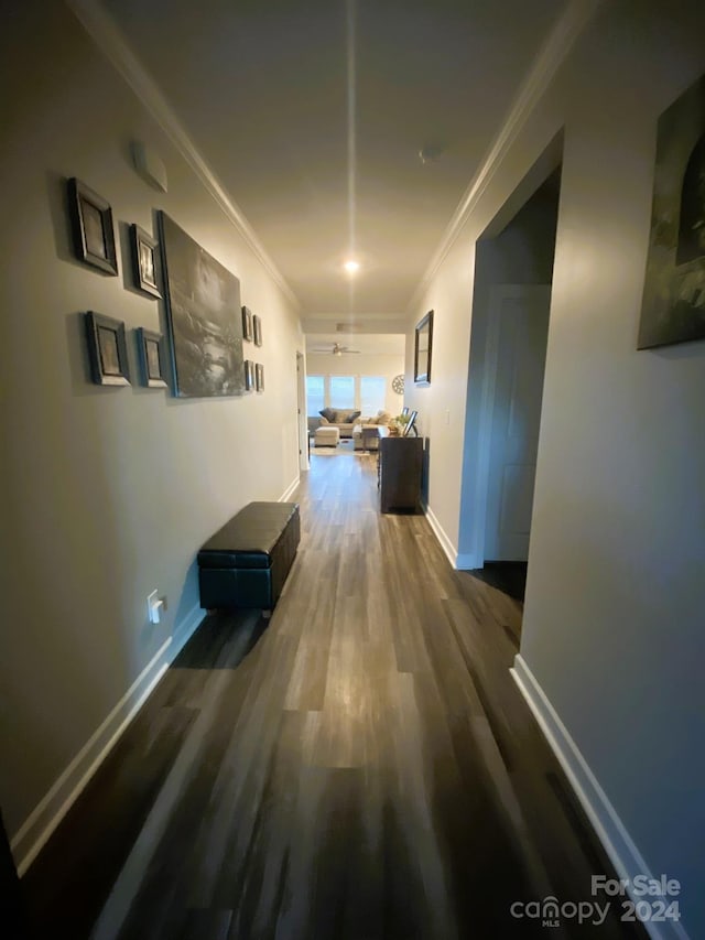 hallway featuring crown molding and dark hardwood / wood-style flooring