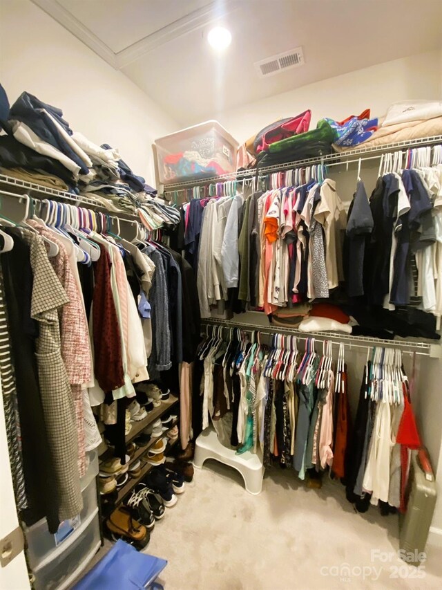 spacious closet featuring carpet