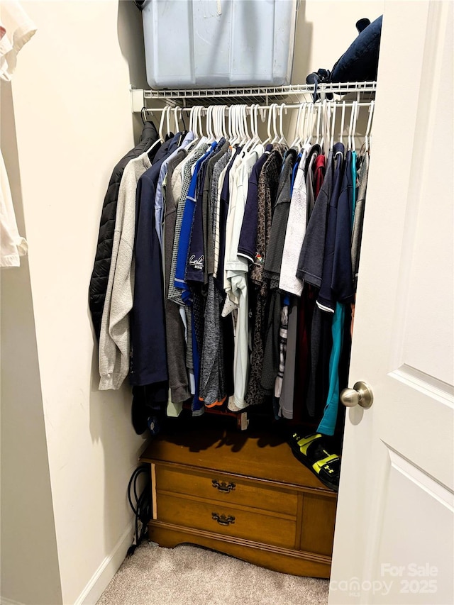 view of closet