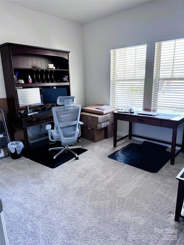 office area featuring carpet flooring