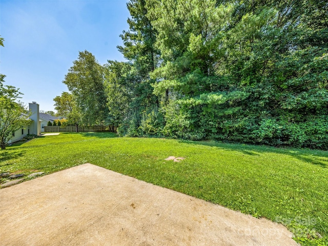 view of yard featuring a patio area