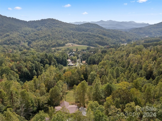 Listing photo 2 for 329 Candy Ln, Sylva NC 28779