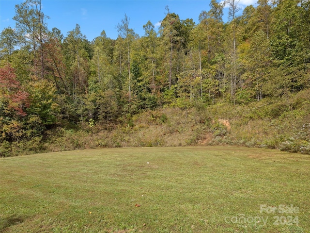 Listing photo 3 for 329 Candy Ln, Sylva NC 28779