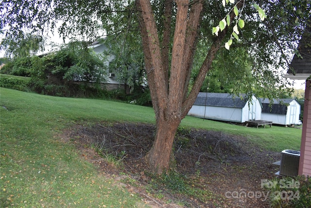 view of yard with a shed