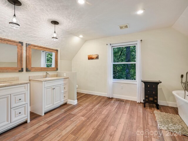 bathroom featuring a textured ceiling, vanity, hardwood / wood-style floors, lofted ceiling, and a washtub