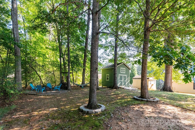 view of yard with a storage unit