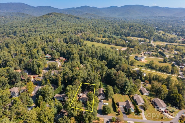 birds eye view of property featuring a mountain view