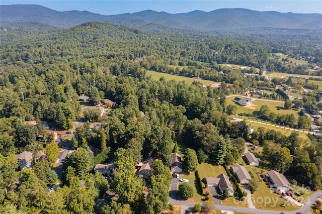 drone / aerial view with a mountain view