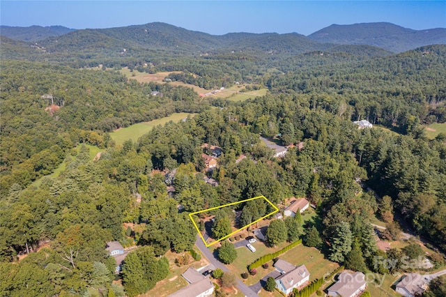 birds eye view of property featuring a mountain view