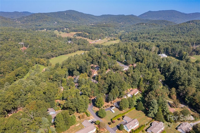 birds eye view of property featuring a mountain view