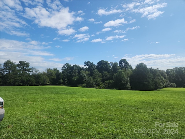 view of yard featuring a view of trees