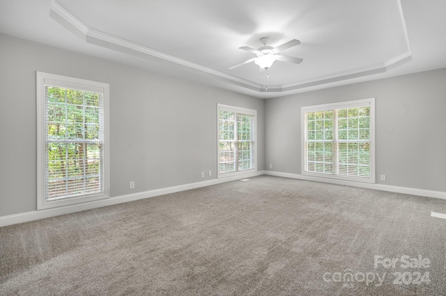 carpeted empty room featuring a tray ceiling, ceiling fan, and crown molding