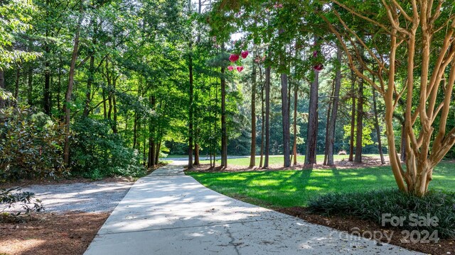 view of home's community with a yard