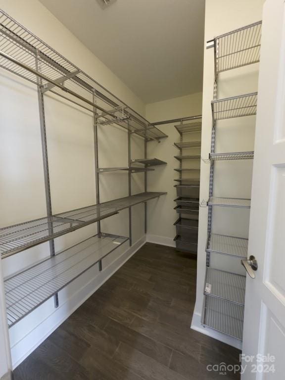 spacious closet with dark hardwood / wood-style flooring