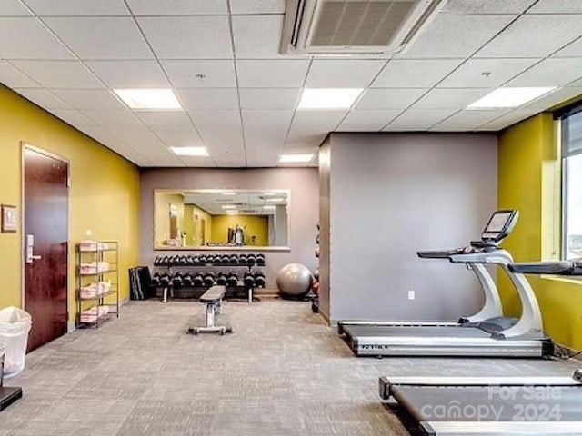 exercise area featuring a drop ceiling and carpet flooring