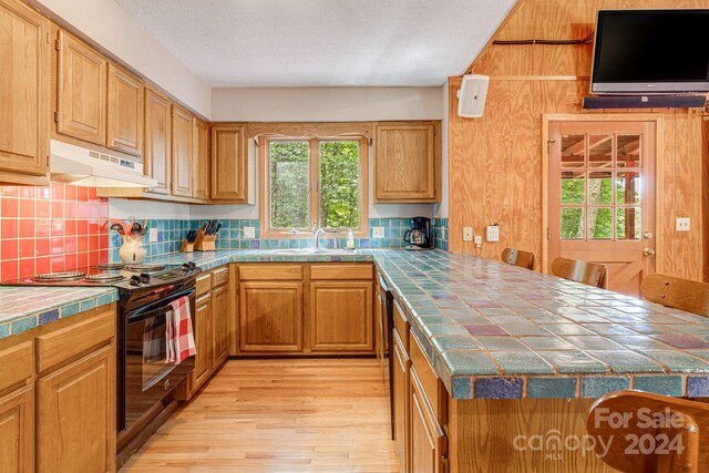 kitchen featuring tile counters, decorative backsplash, black / electric stove, and light hardwood / wood-style flooring