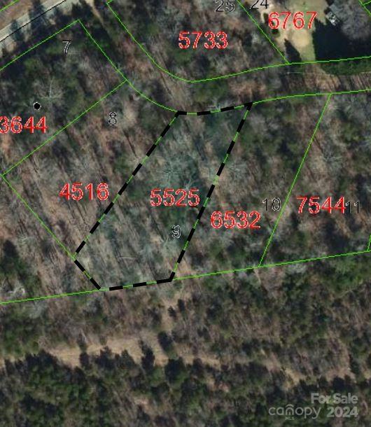 TBD Biggerstaff Loop Lot # 9, Nebo NC, 28761 land for sale