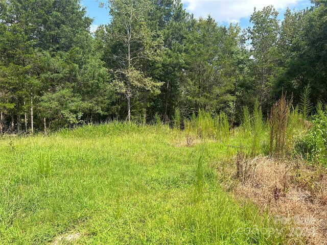 5630 Woods Ferry Rd, Carlisle, SC 29031