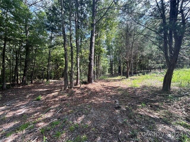 5630 Woods Ferry Rd, Carlisle, SC 29031