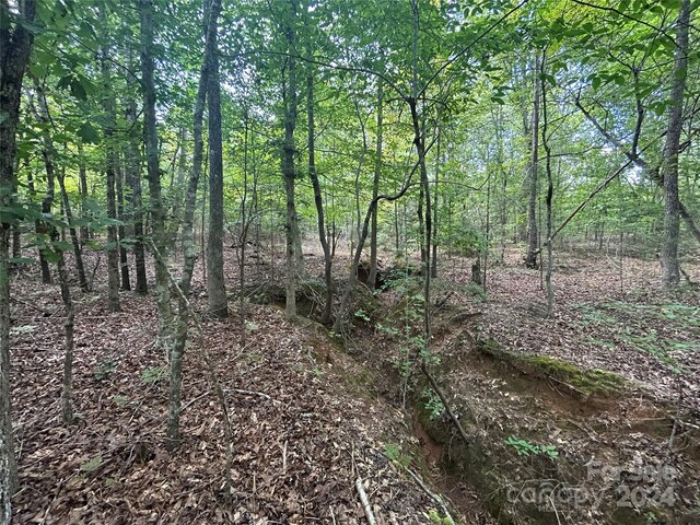 5630 Woods Ferry Rd, Carlisle, SC 29031