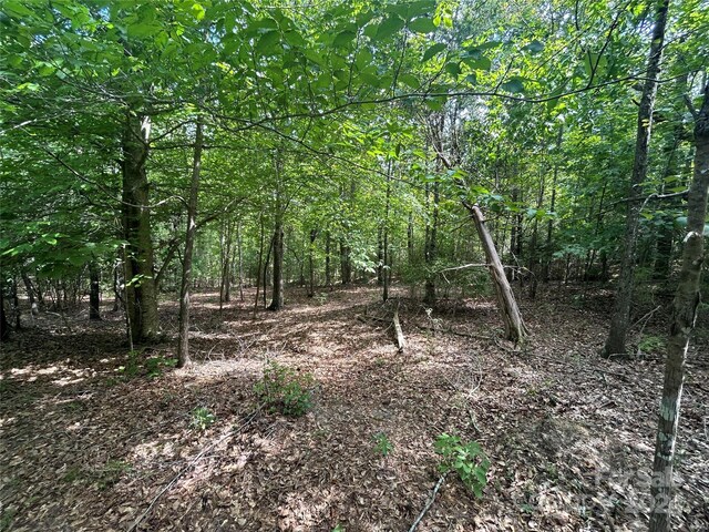 5630 Woods Ferry Rd, Carlisle, SC 29031