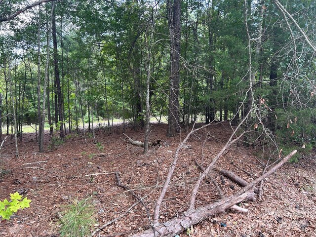 5630 Woods Ferry Rd, Carlisle, SC 29031